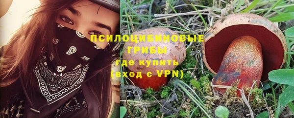 a pvp Алексин