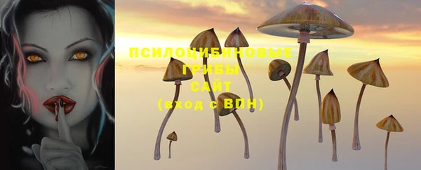 гидропоника Алзамай