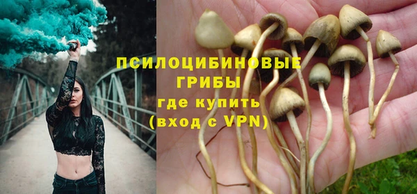 a pvp Алексин