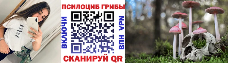 Галлюциногенные грибы Psilocybe  Калининск 